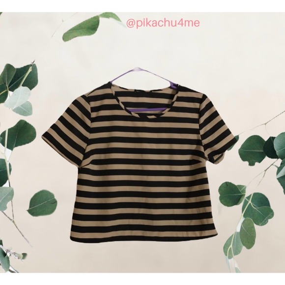 Stripes Crop Tops Tees Black Brown Tan - Picture 1 of 4